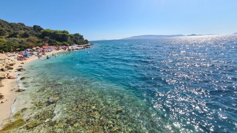 1 170 768x432