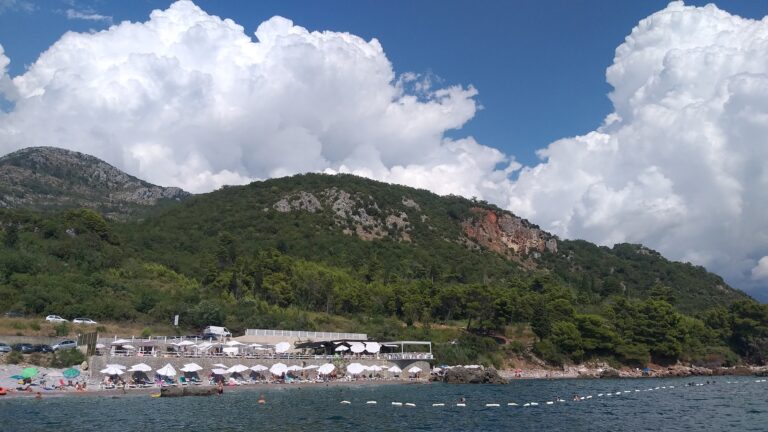 1 2 768x432