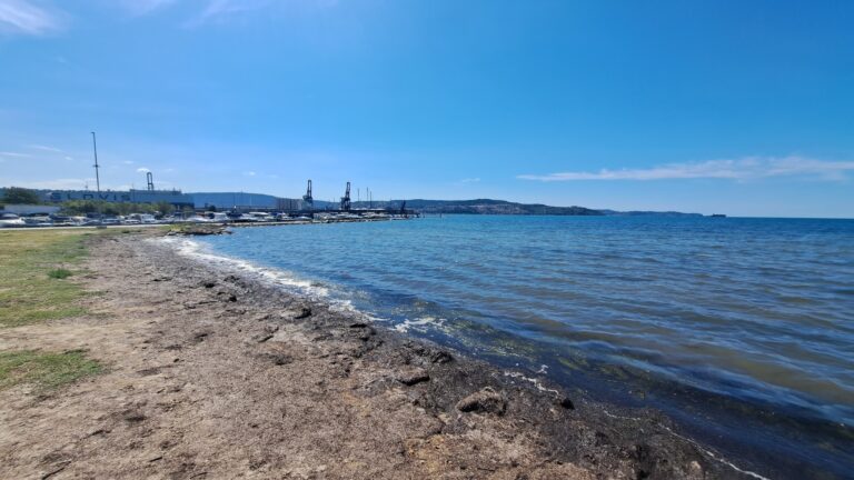 1 13 768x432