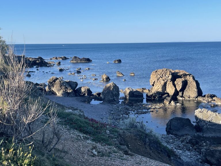 1 60 768x576