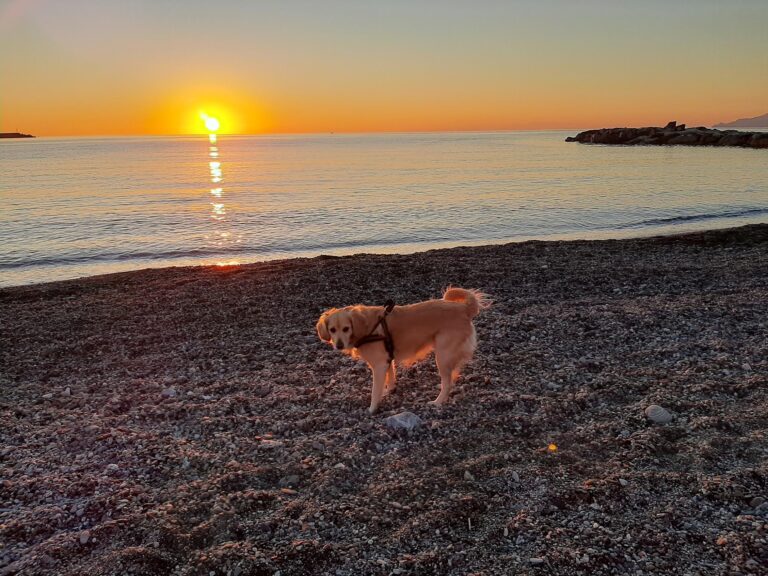 3 16 768x576
